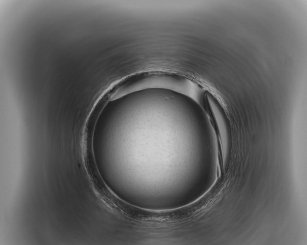 X0000116870580200912291321