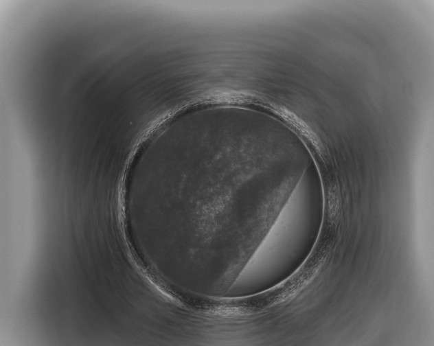 X0000116870581200912291321