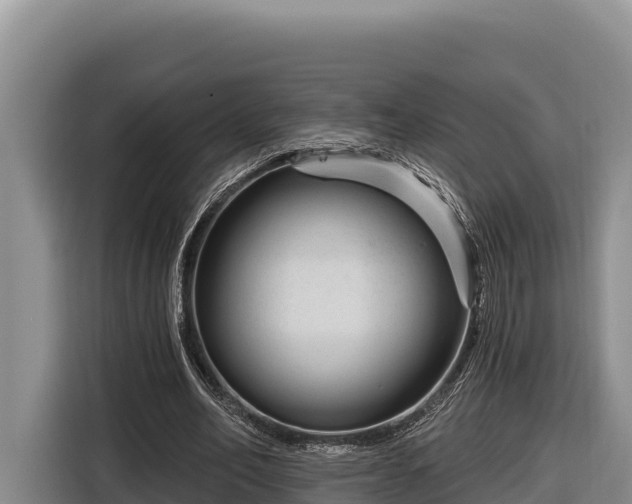 X0000116870582200912291321