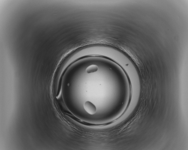 X0000116870583200912291321