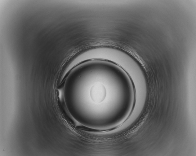 X0000116870585200912291321