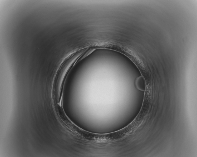 X0000116870587200912291321