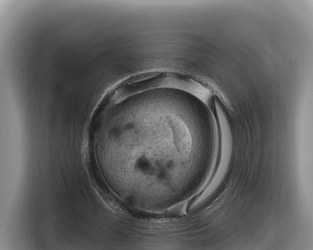 X0000116870588200912291321