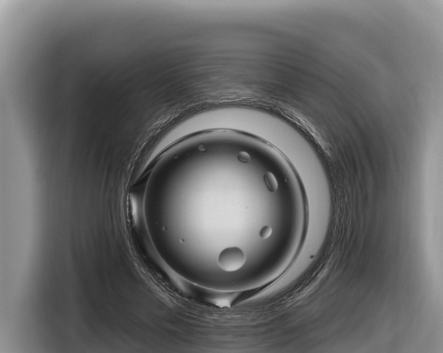 X0000116870589200912291321
