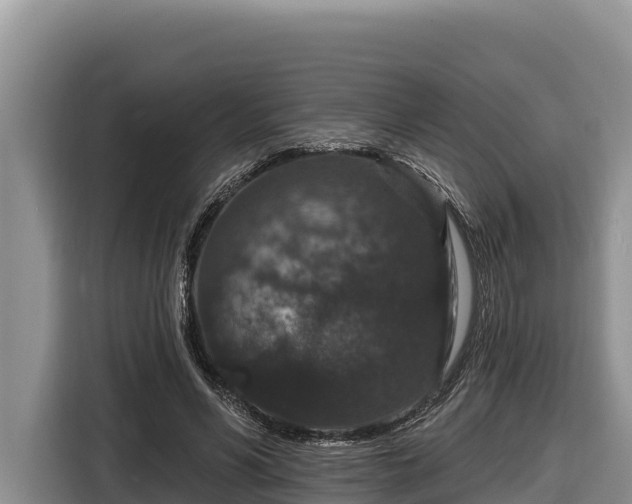 X0000116870590200912291321