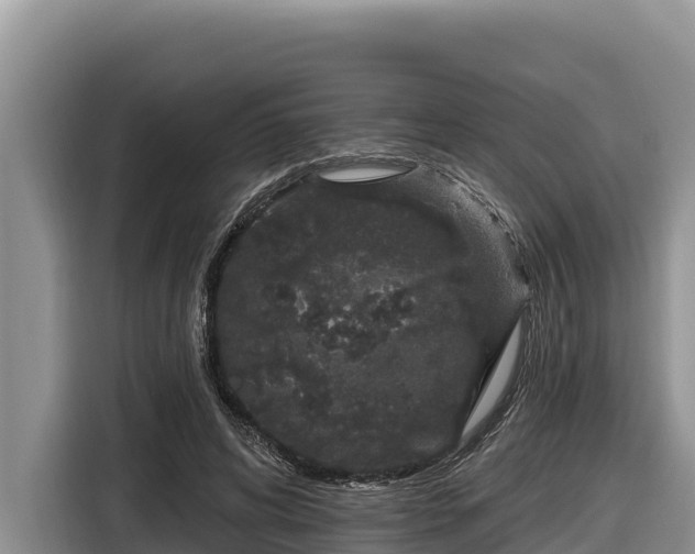 X0000116870592200912291321