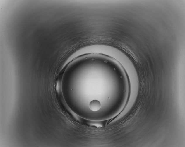 X0000116870593200912291321