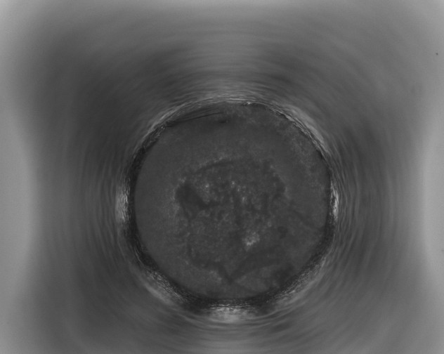 X0000116870596200912291321