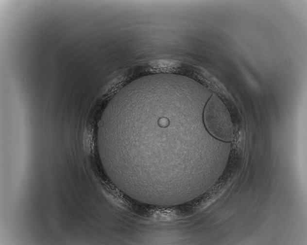 X0000116870599200912291321
