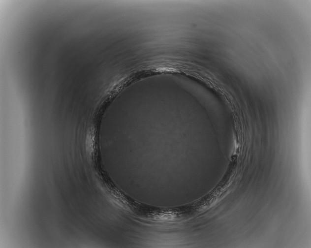X0000116870600200912291321