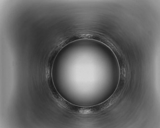 X0000116870602200912291321