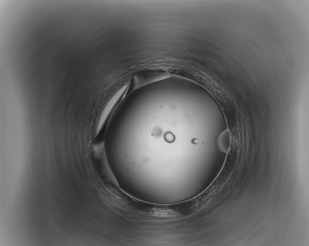 X0000116870605200912291321