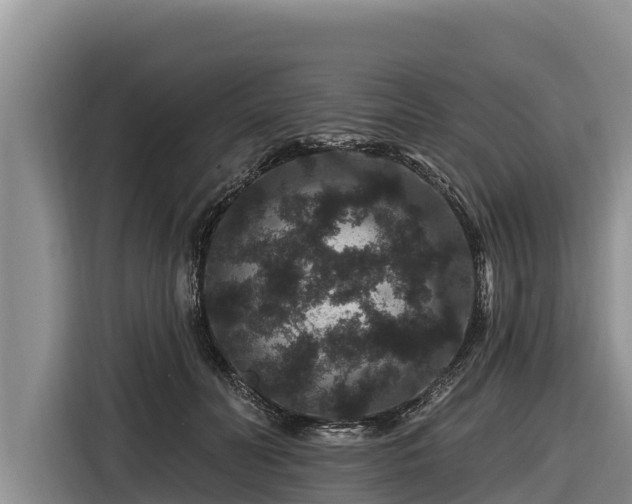 X0000116870606200912291321