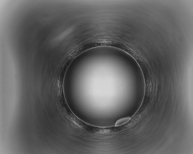 X0000116870609200912291321