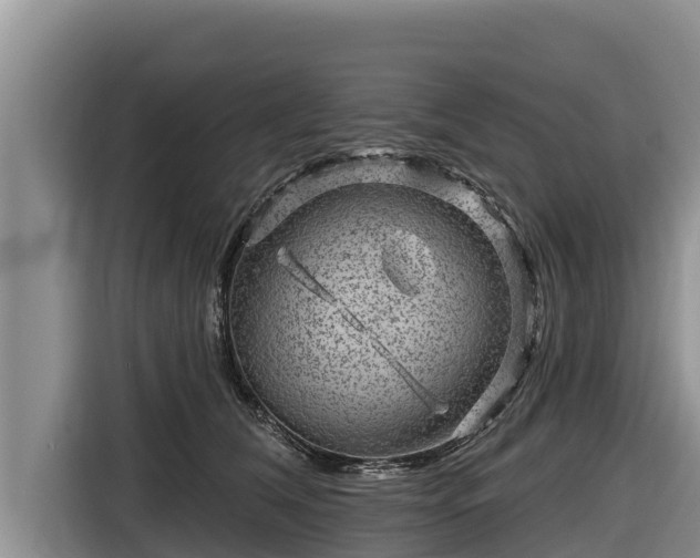 X0000116870612200912291321