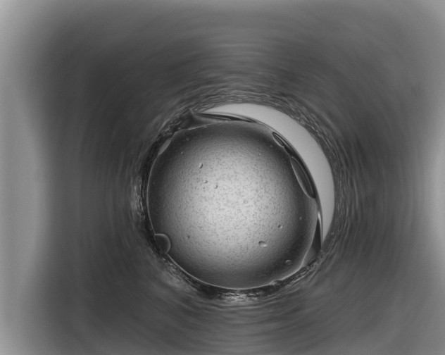 X0000116870616200912291321