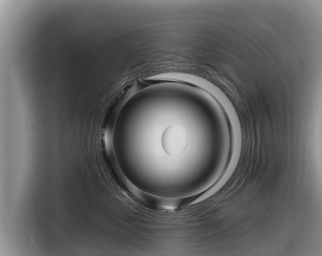 X0000116870621200912291321