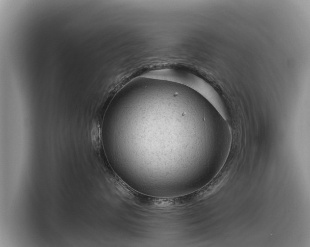 X0000116870624200912291321