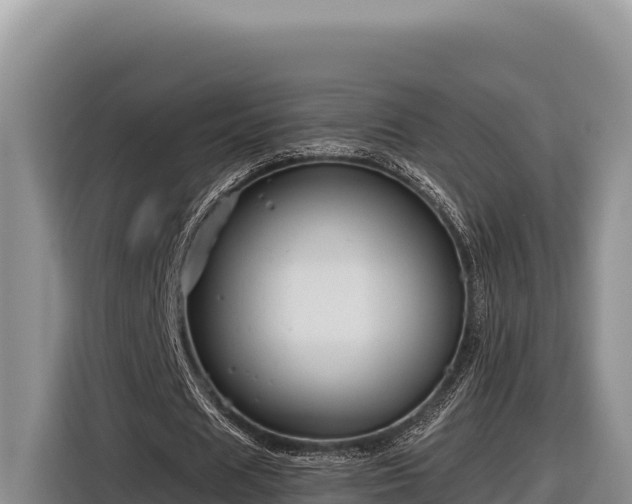 X0000116870625200912291320