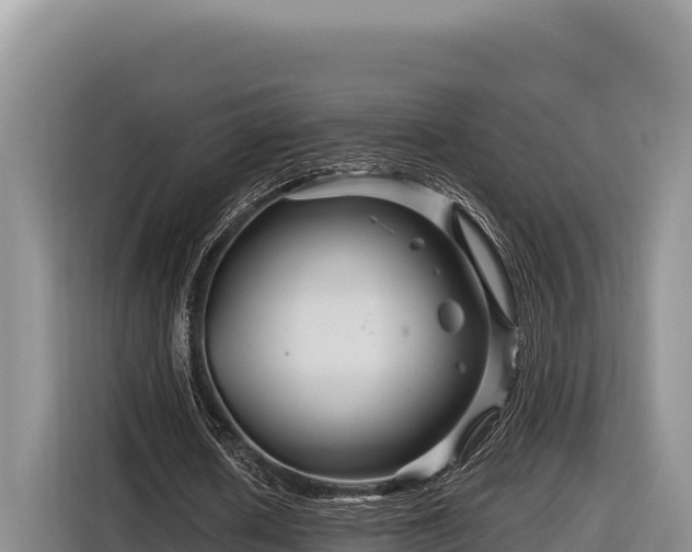 X0000116870626200912291320