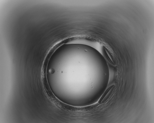 X0000116870628200912291320