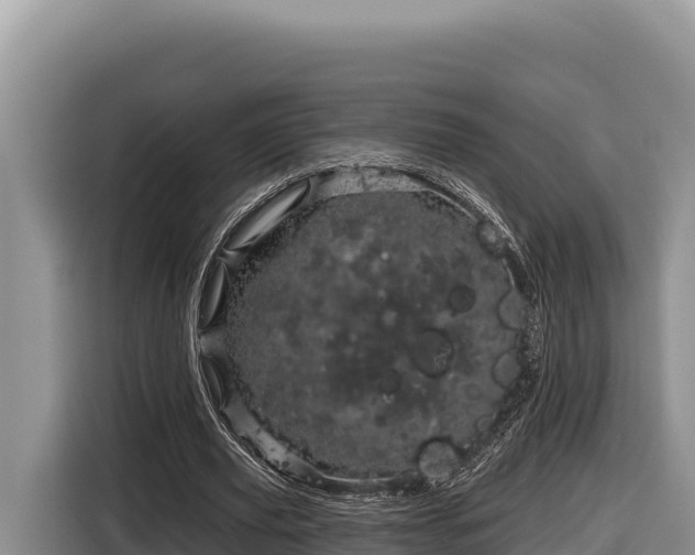 X0000116870629200912291320