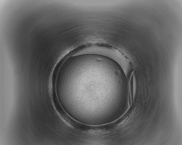X0000116870630200912291320