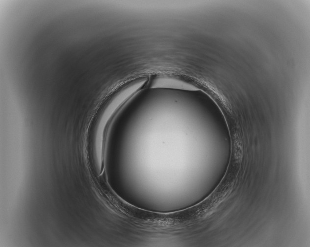 X0000116870631200912291320