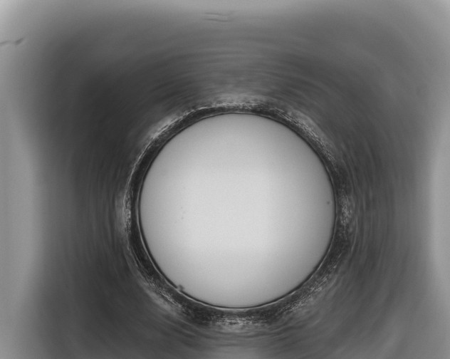 X0000116870632200912291320