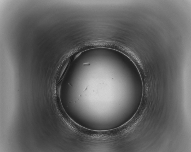 X0000116870633200912291320