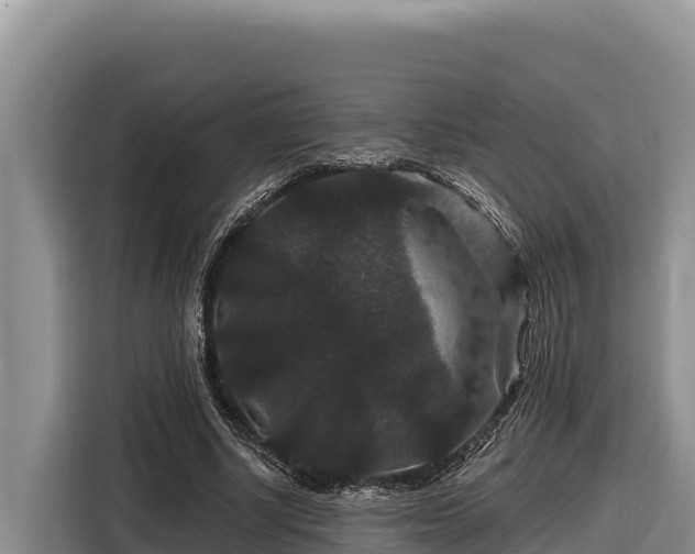 X0000116870634200912291320
