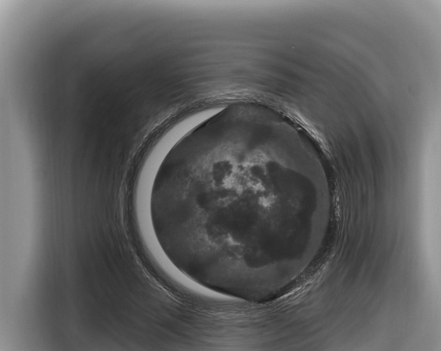 X0000116870637200912291320