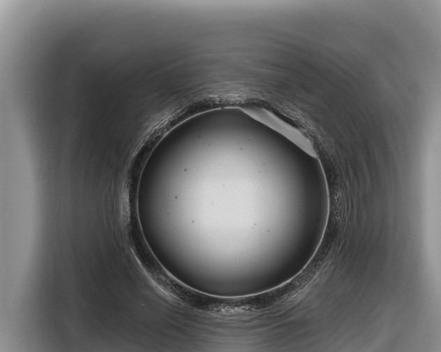 X0000116870638200912291320