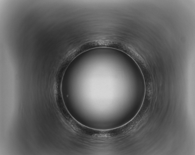 X0000116870639200912291320