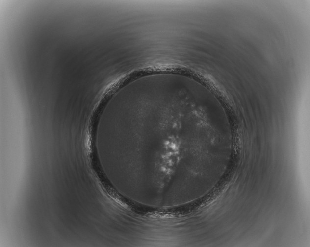 X0000116870640200912291320