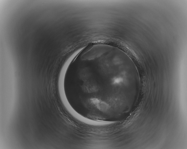 X0000116870641200912291320