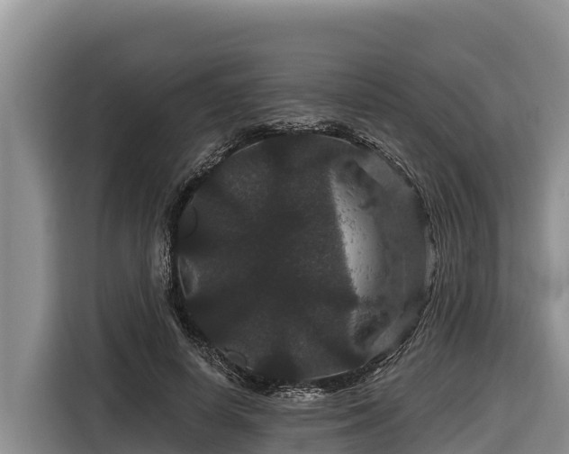 X0000116870642200912291320