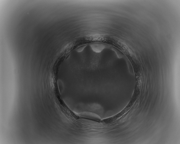 X0000116870643200912291320