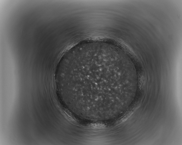 X0000116870644200912291320