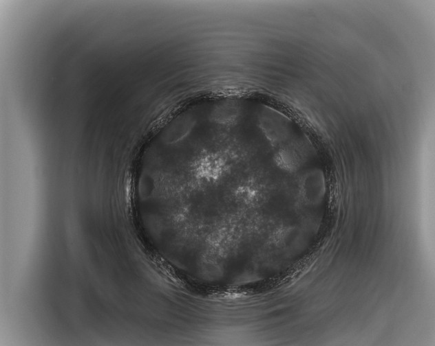 X0000116870647200912291320