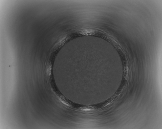 X0000116870652200912291320