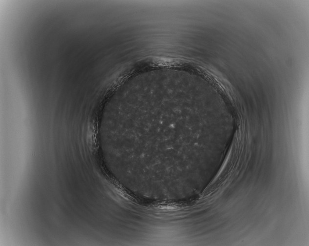 X0000116870653200912291320