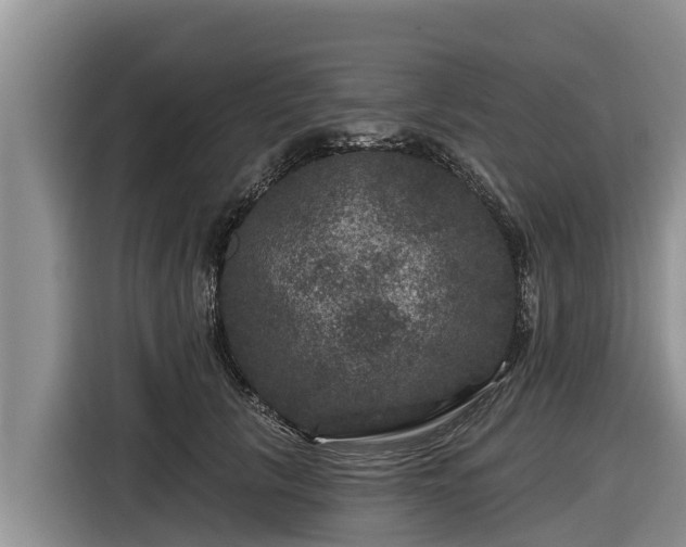 X0000116870657200912291320