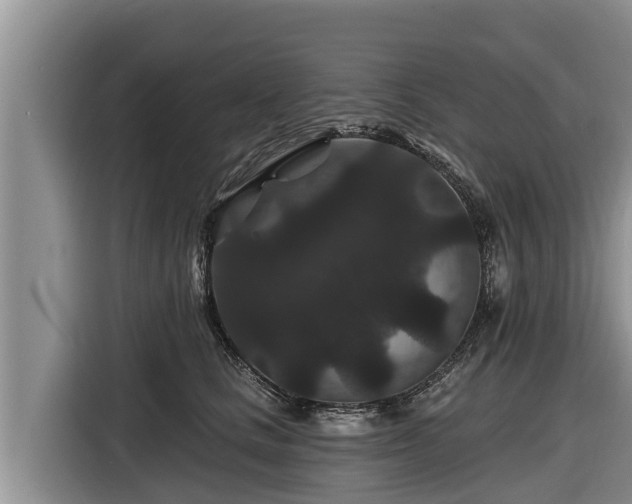 X0000116870661200912291320