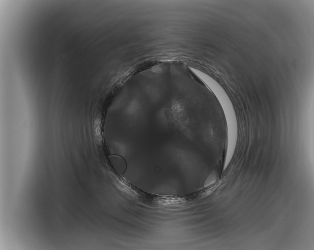 X0000116870670200912291321