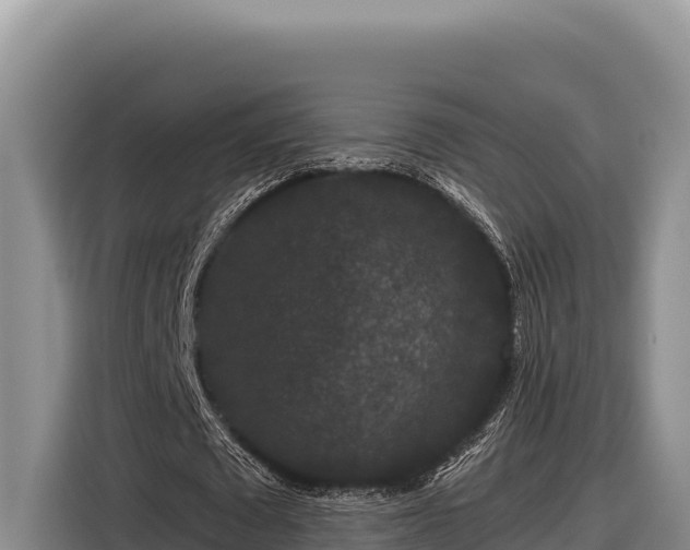 X0000116870673200912291320