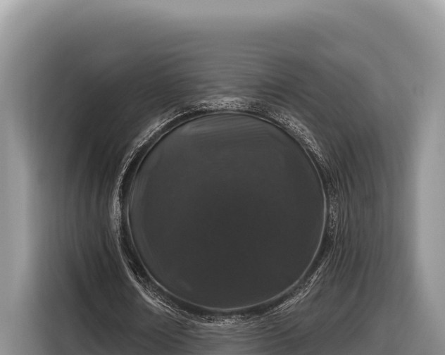 X0000116870674200912291320