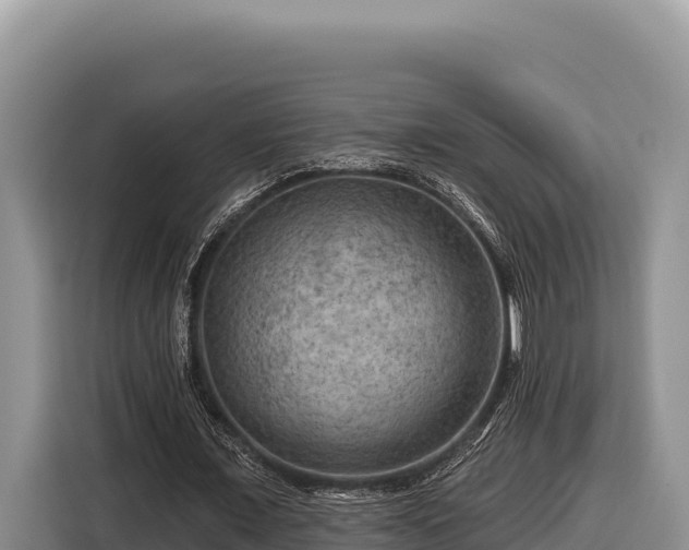 X0000116870675200912291320