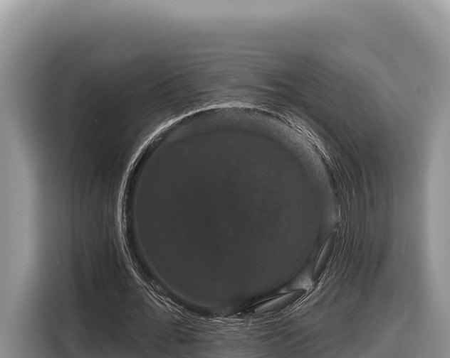 X0000116870676200912291320