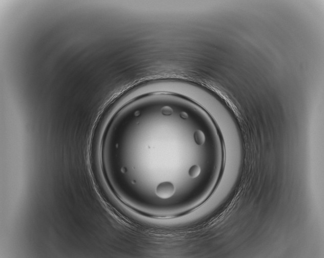 X0000116870677200912291320